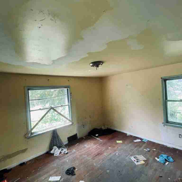 20506 Cardoni (36).jpg